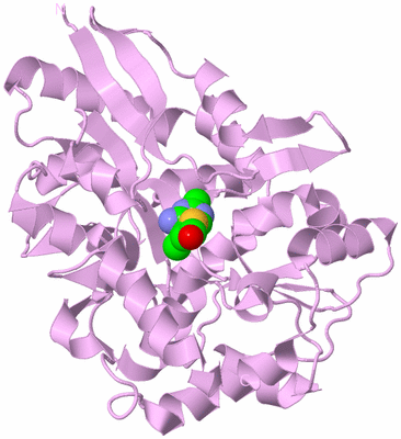 Image Biological Unit 5