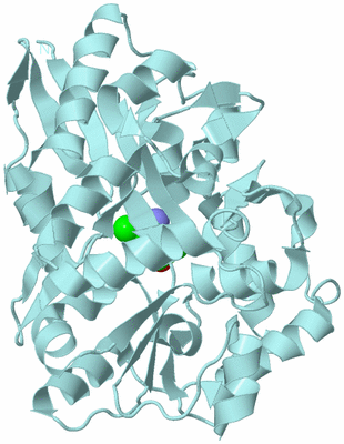 Image Biological Unit 6