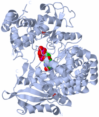 Image Biological Unit 1