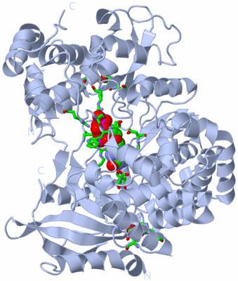 Image Biol. Unit 1 - sites