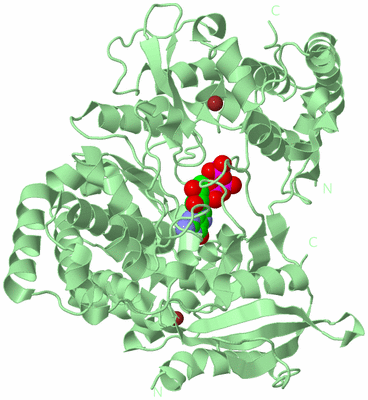 Image Biological Unit 2