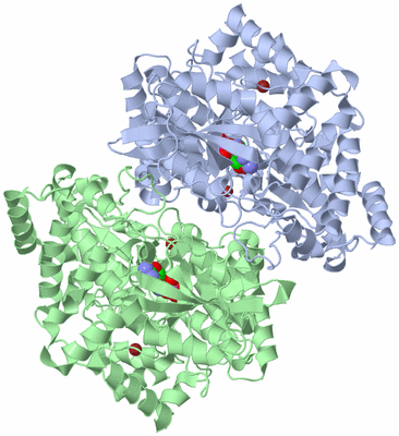 Image Biological Unit 3