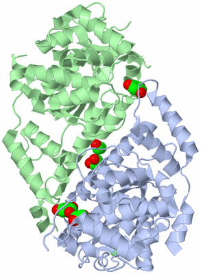 Image Asym./Biol. Unit