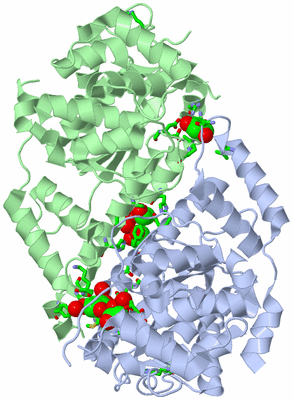 Image Asym./Biol. Unit - sites