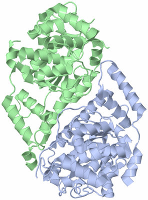 Image Asym./Biol. Unit