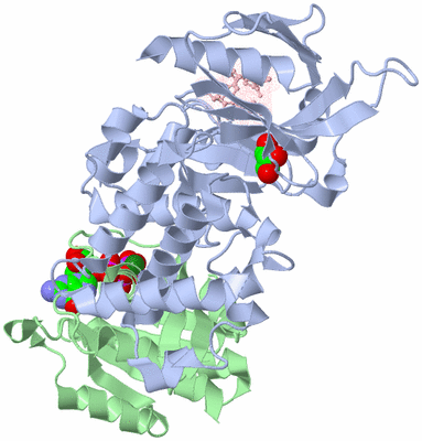 Image Asym./Biol. Unit