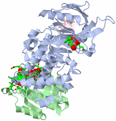 Image Asym./Biol. Unit - sites