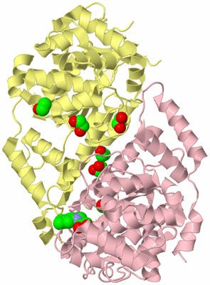 Image Biological Unit 2