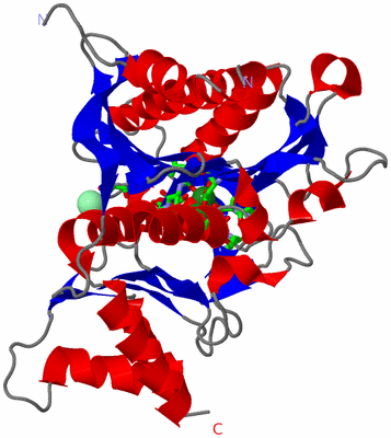 Image Asym. Unit - sites