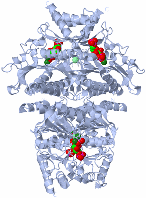 Image Biological Unit 1