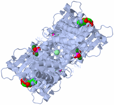 Image Biological Unit 1