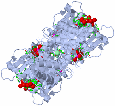 Image Biol. Unit 1 - sites