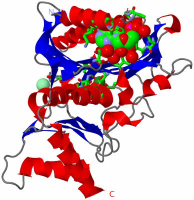 Image Asym. Unit - sites