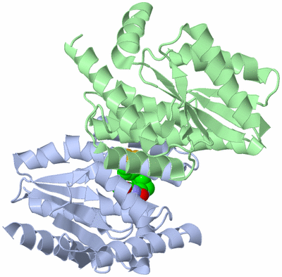 Image Asym./Biol. Unit