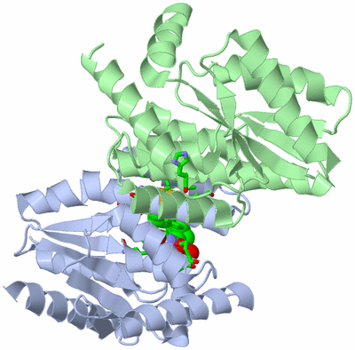 Image Asym./Biol. Unit - sites