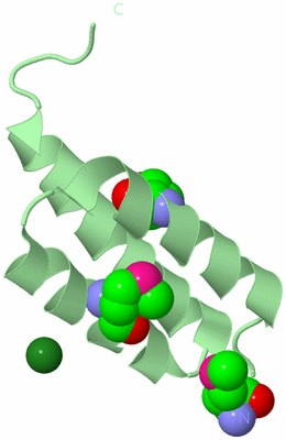 Image Biological Unit 2