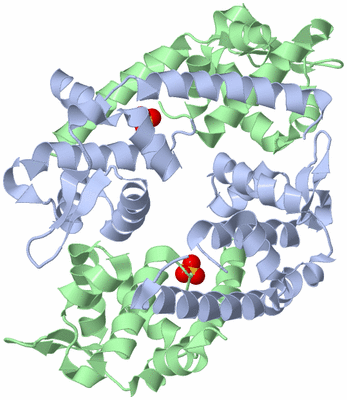 Image Biological Unit 2