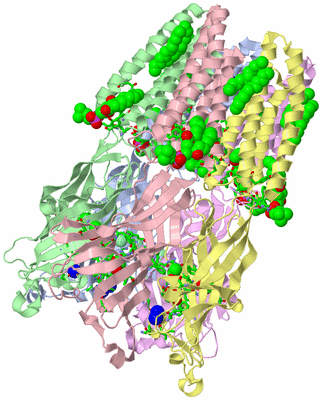 Image Asym./Biol. Unit - sites