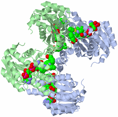 Image Biological Unit 2