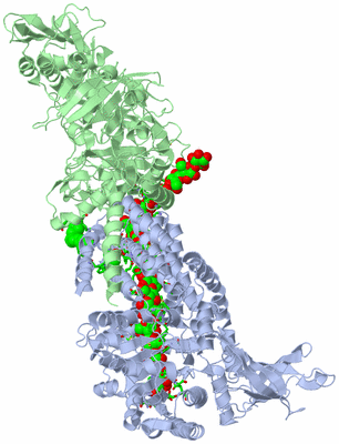 Image Asym./Biol. Unit - sites