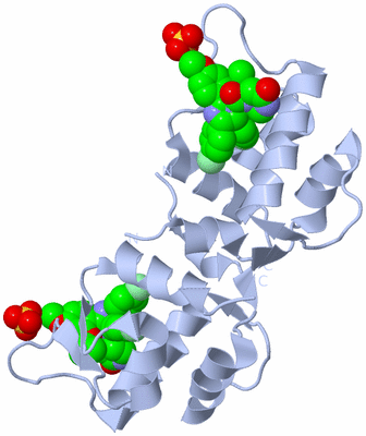 Image Biological Unit 2