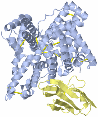 Image Biological Unit 1