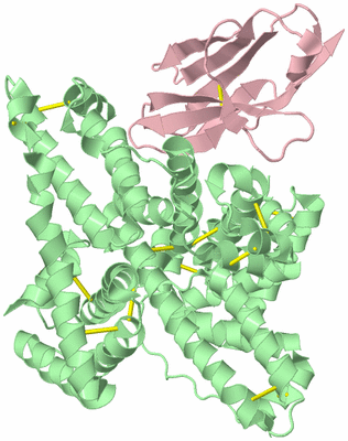 Image Biological Unit 2