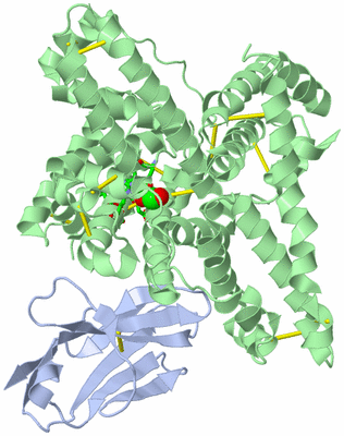 Image Asym./Biol. Unit - sites