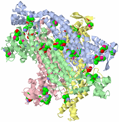 Image Asym./Biol. Unit - sites