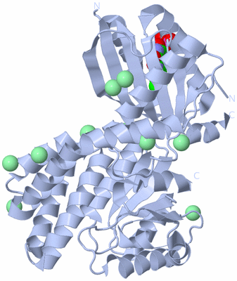 Image Biological Unit 1