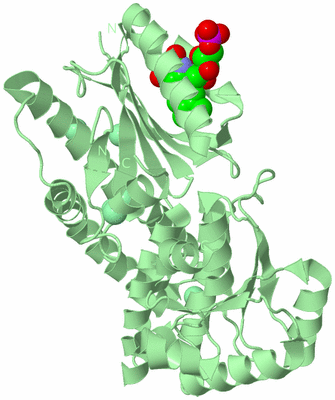 Image Biological Unit 2