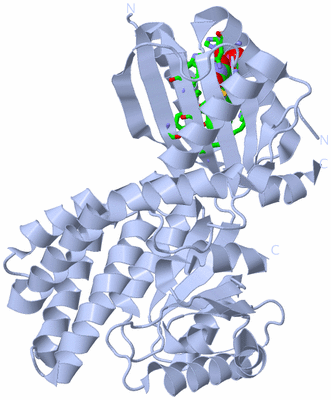 Image Biol. Unit 1 - sites