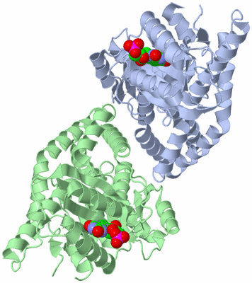 Image Biological Unit 3