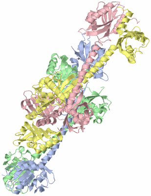 Image Asym./Biol. Unit