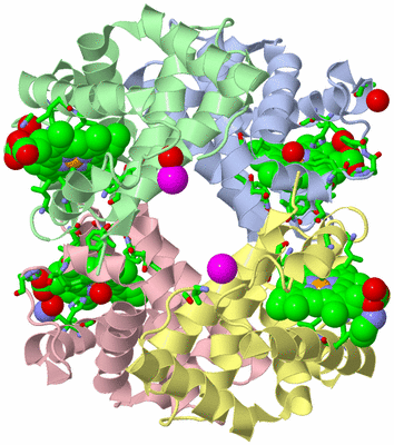 Image Asym./Biol. Unit - sites