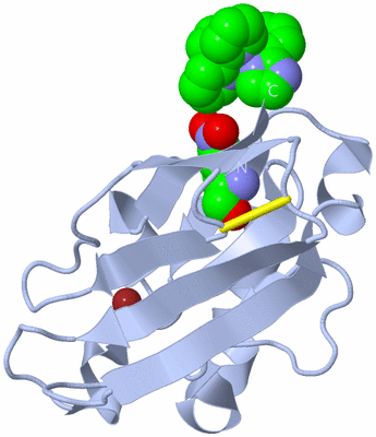 Image Biological Unit 1