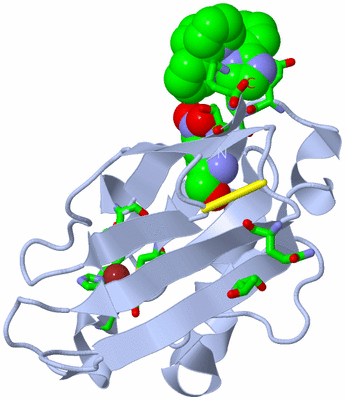 Image Biol. Unit 1 - sites