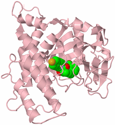 Image Biological Unit 1