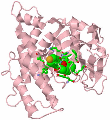 Image Biol. Unit 1 - sites