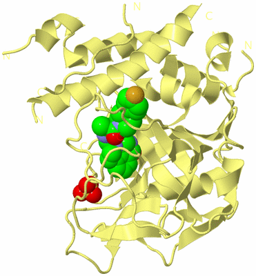 Image Biological Unit 2