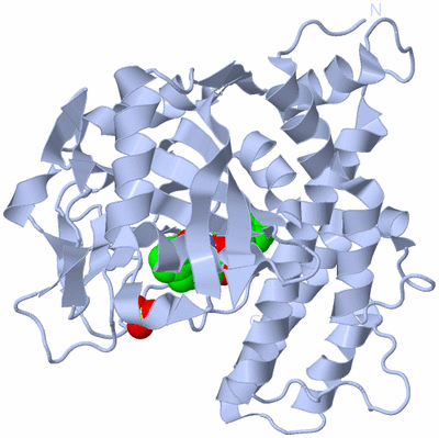 Image Biological Unit 3