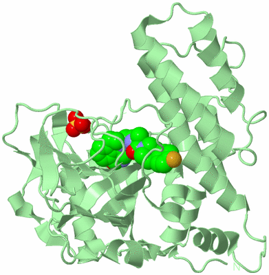 Image Biological Unit 4