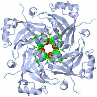 Image Biol. Unit 1 - sites