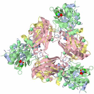 Image Biological Unit 1