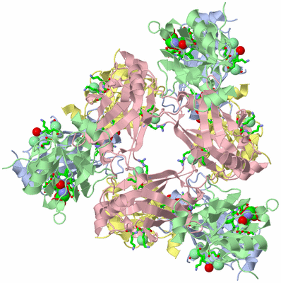 Image Biol. Unit 1 - sites