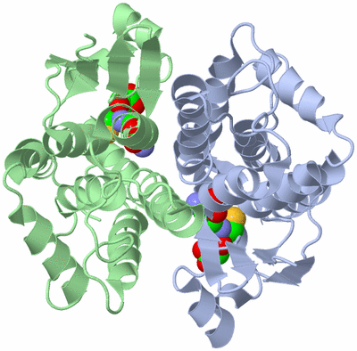 Image Asym./Biol. Unit