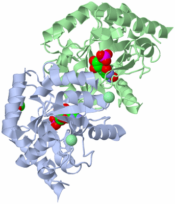 Image Asym./Biol. Unit