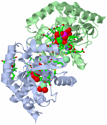 Image Asym./Biol. Unit - sites