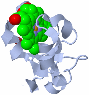 Image Biological Unit 1