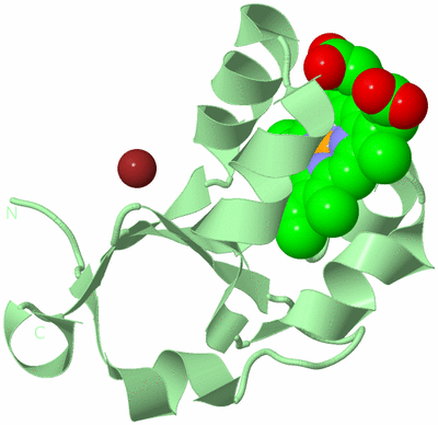 Image Biological Unit 2